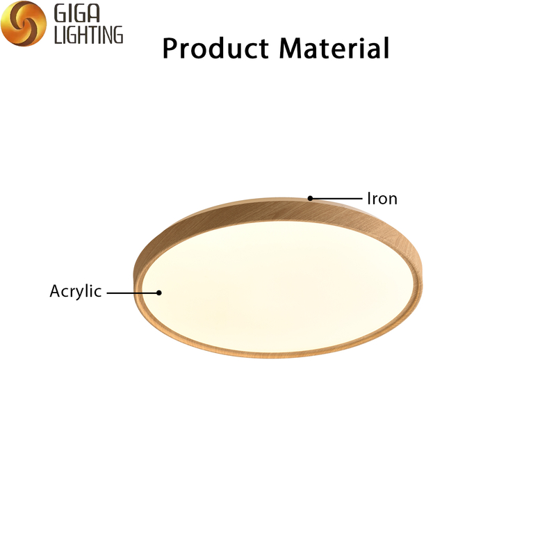  Fábrica de iluminación de techo LED acrílica de hierro redonda nórdica VDE