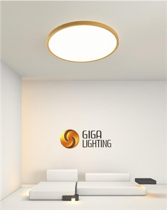 Lámpara de techo LED blanca redonda de plástico ultrafina D23CM IP40 lámpara moderna de panel de superficie 3CCT