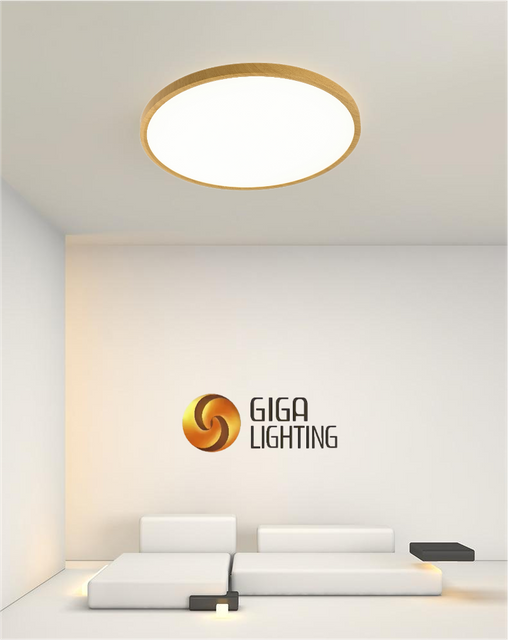 Lámpara de techo LED blanca redonda de plástico ultrafina D23CM IP40 lámpara moderna de panel de superficie 3CCT