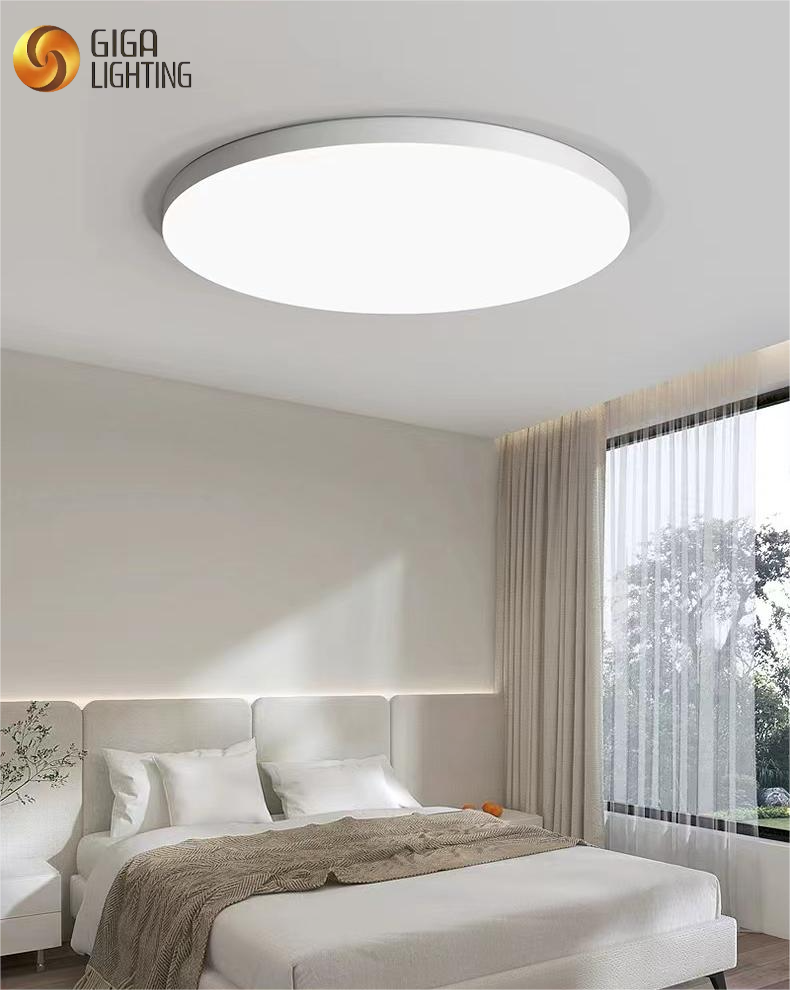 Luz de techo LED regulable IP40, lámpara redonda ultrafina, luz para balcón, dormitorio, pasillo, pasillo