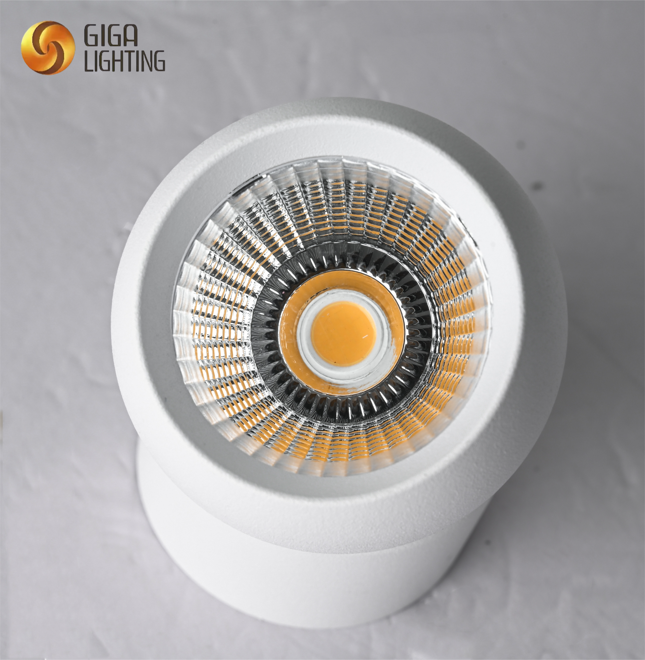 VDE Foco de Techo Negro, Lámpara de Techo GU10 Giratoria, Foco de Pared de Techo LED Industrial Moderno para Interiores en Globo para Cocina, Dormitorio, Sala de Estar, Pasillo de Oficina al por Mayor